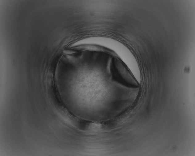 X0000089450227200707131933