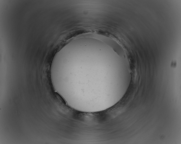 X0000089450229200707131933