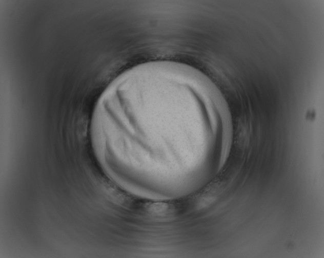 X0000089450230200707131933