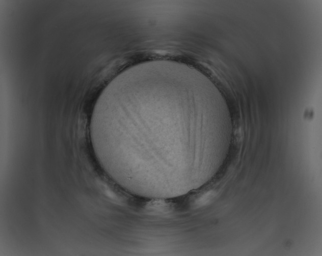 X0000089450231200707131933