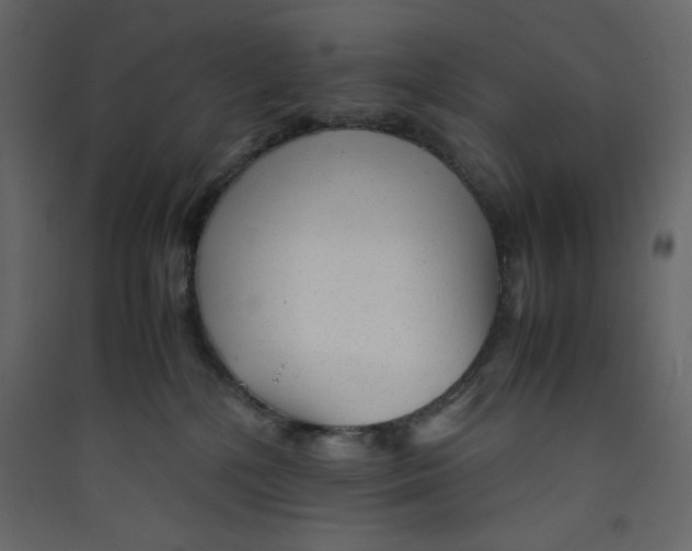 X0000089450232200707131933