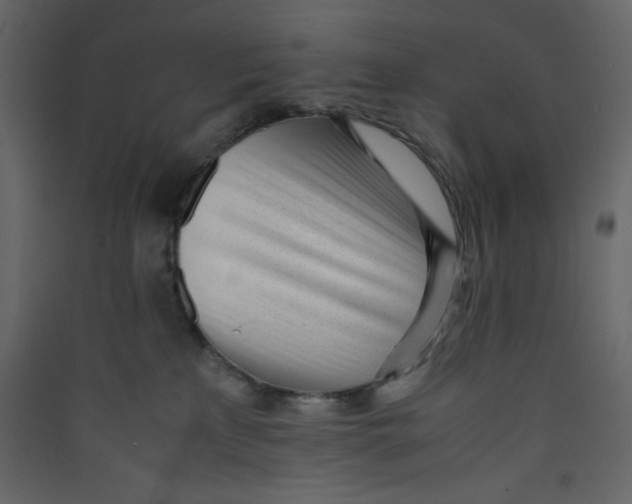 X0000089450233200707131933