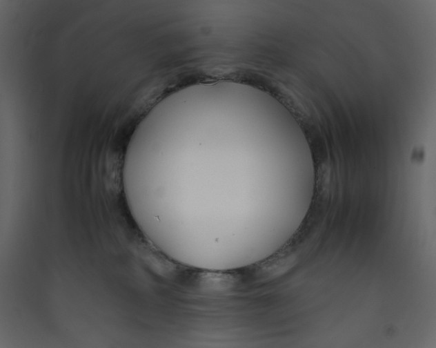 X0000089450234200707131933