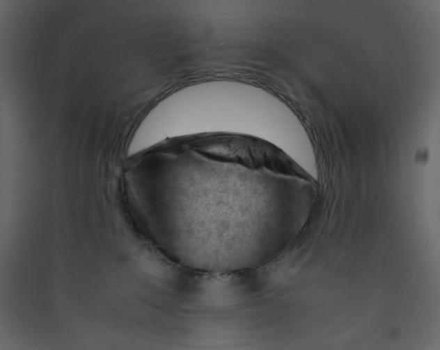 X0000089450235200707131933