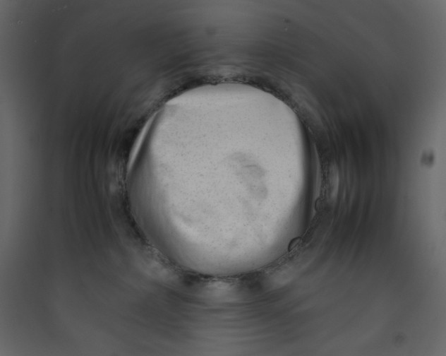 X0000089450236200707131933