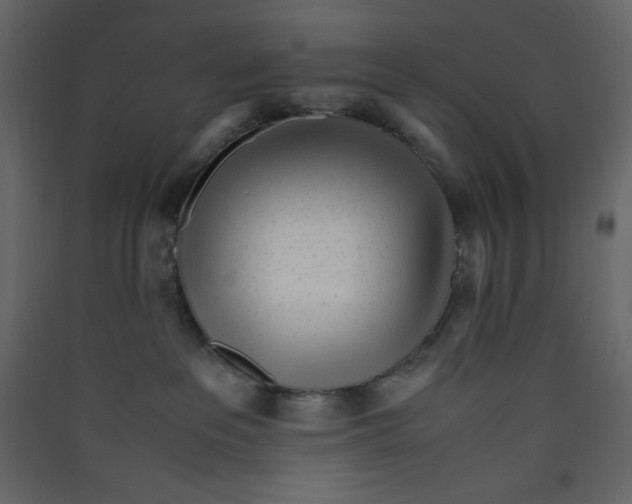 X0000089450237200707131933