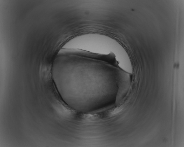 X0000089450239200707131933