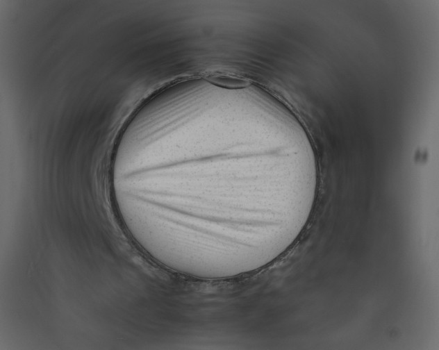 X0000089450241200707131932