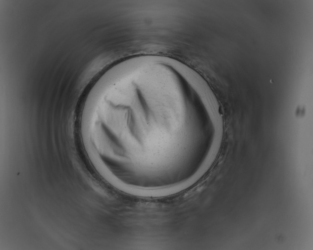 X0000089450242200707131932