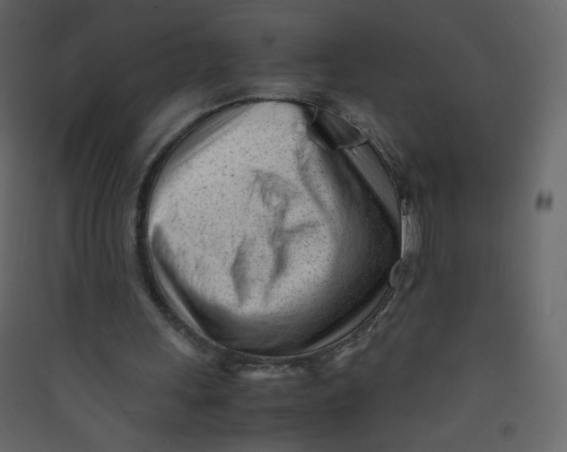 X0000089450243200707131932