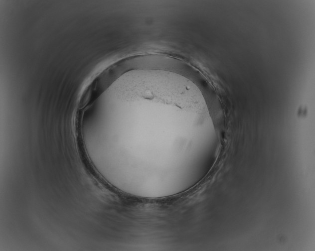 X0000089450244200707131932