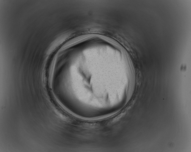 X0000089450245200707131932