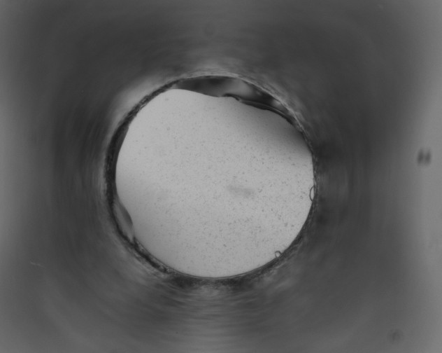 X0000089450248200707131932