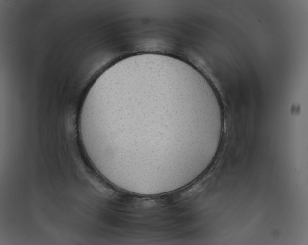 X0000089450249200707131932