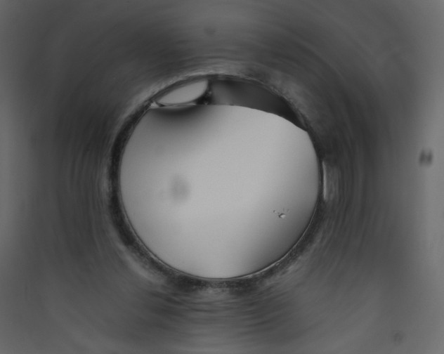 X0000089450252200707131933