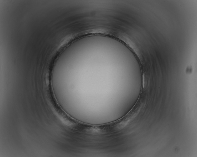 X0000089450253200707131933