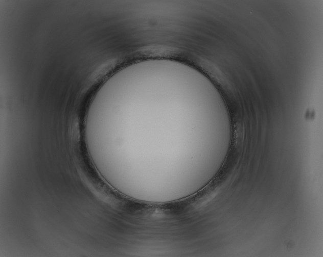 X0000089450254200707131933