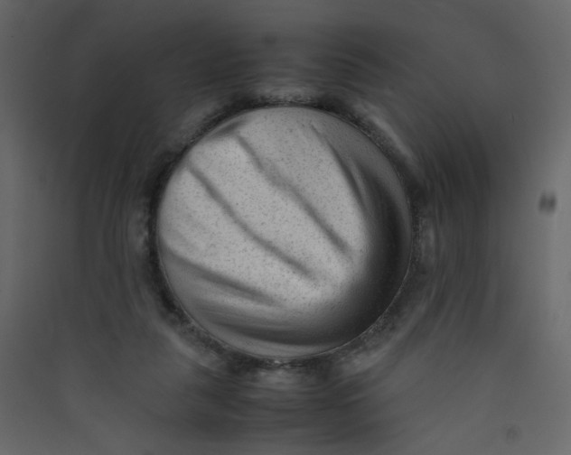 X0000089450259200707131933