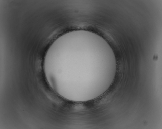 X0000089450262200707131933