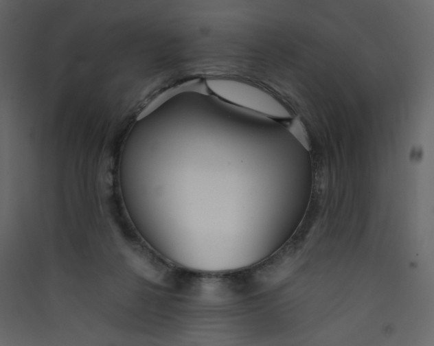 X0000089450264200707131933