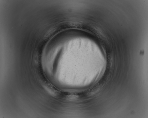 X0000089450266200707131933