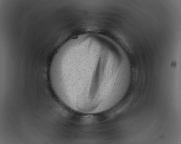 X0000089450269200707131933