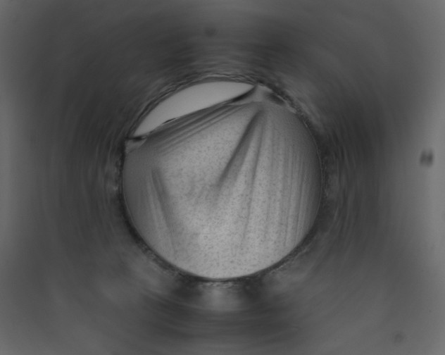 X0000089450273200707131933