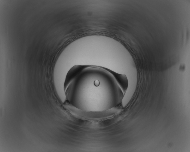 X0000089450276200707131933