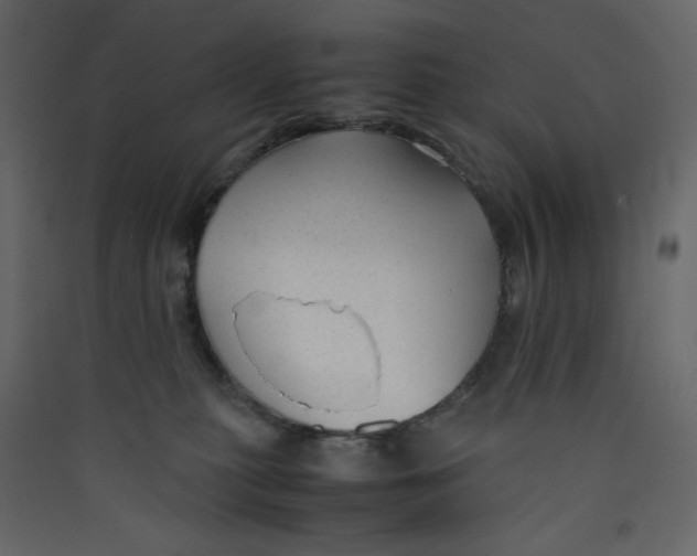 X0000089450279200707131933