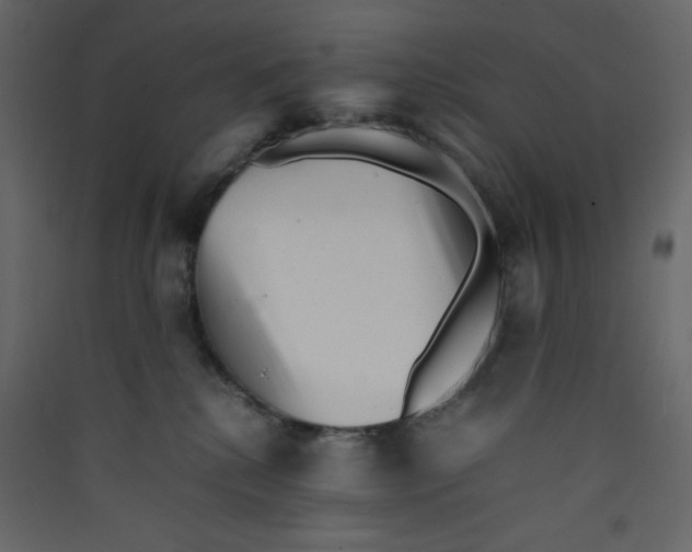 X0000089450280200707131933