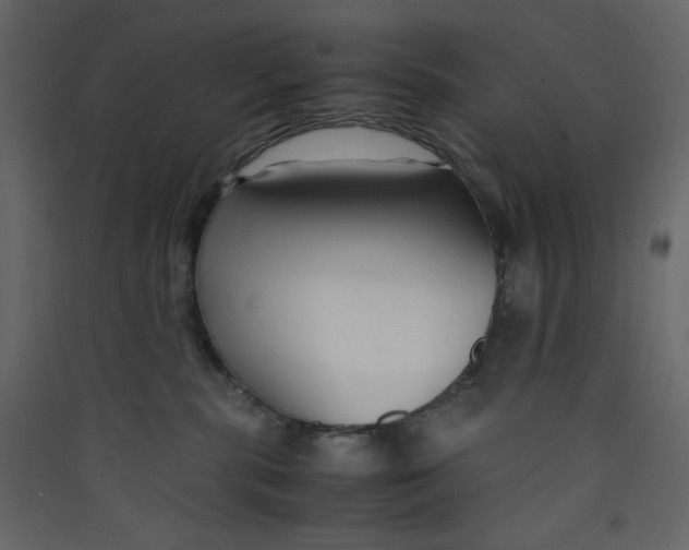 X0000089450283200707131933