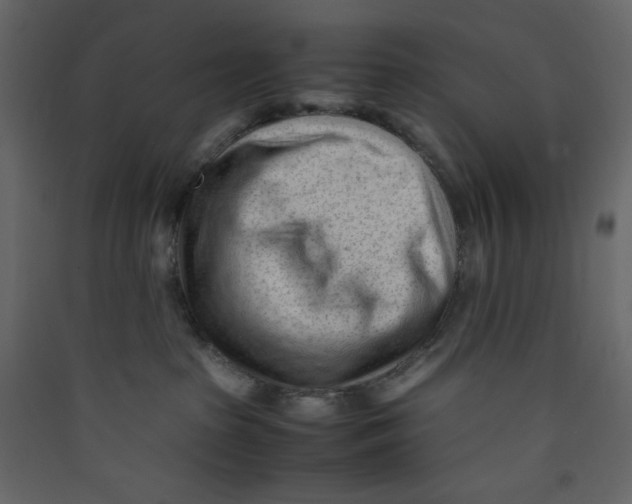 X0000089450285200707131933