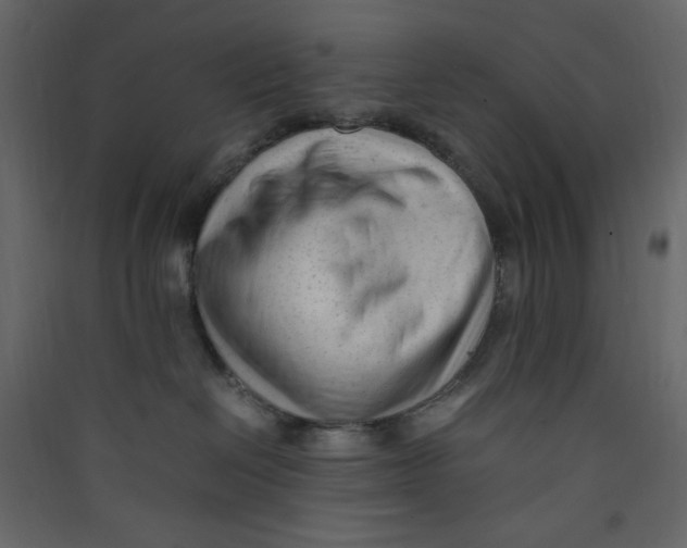 X0000089450286200707131933