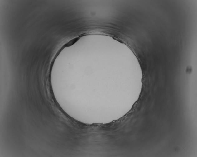 X0000089450289200707131932