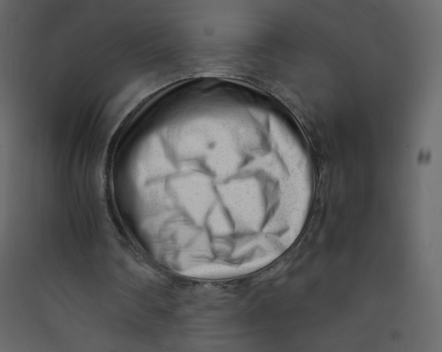 X0000089450290200707131932