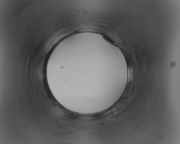 X0000089450291200707131932