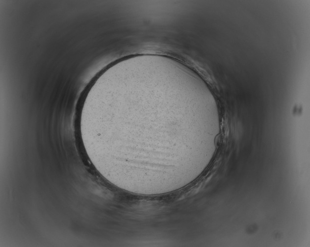 X0000089450292200707131932