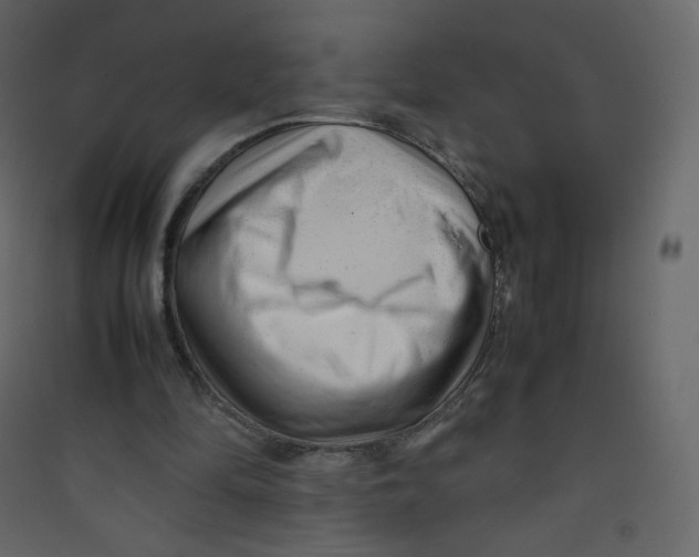 X0000089450294200707131932