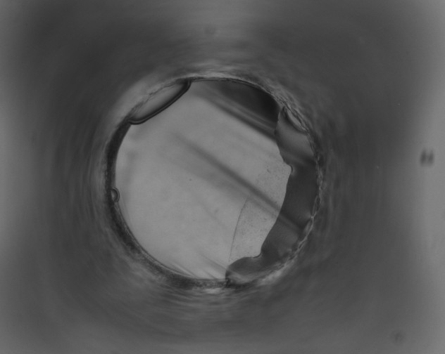 X0000089450295200707131932