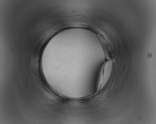 X0000089450299200707131932