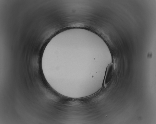 X0000089450300200707131932