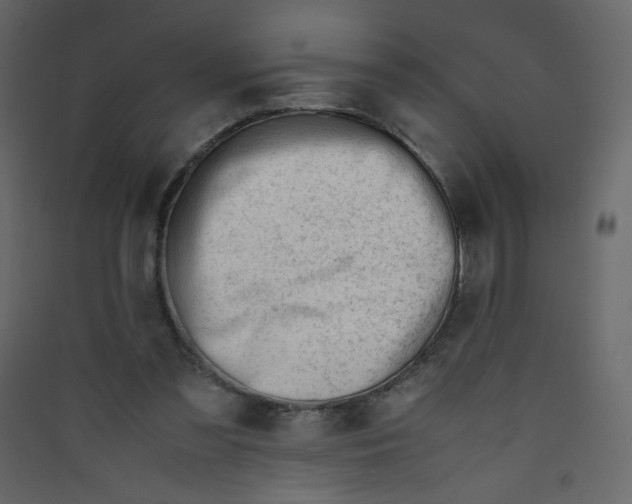 X0000089450301200707131932