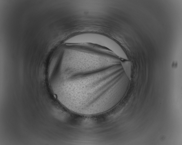 X0000089450303200707131932