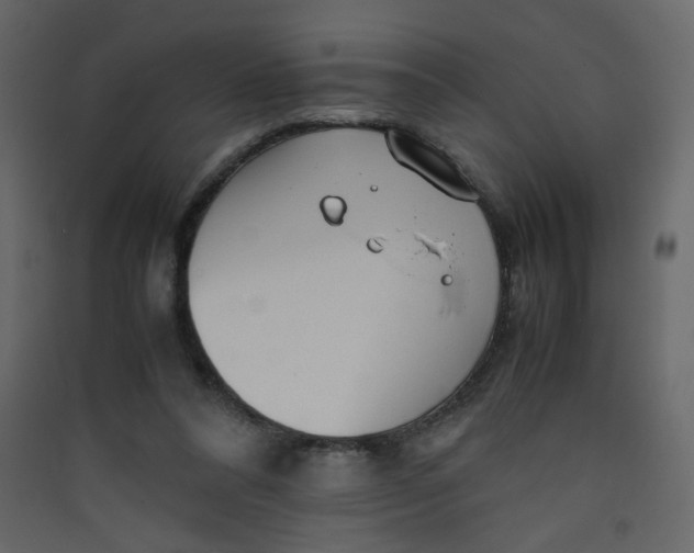 X0000089450304200707131932