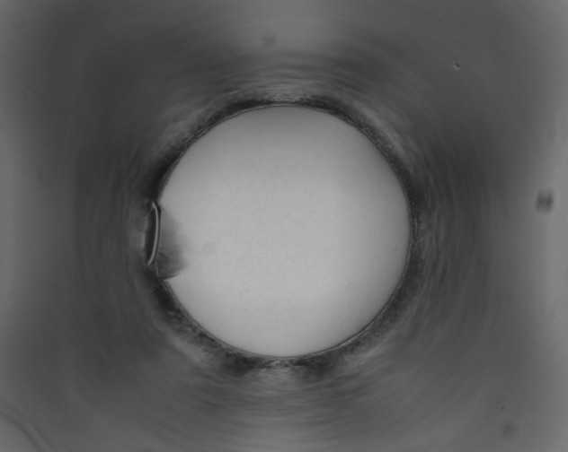 X0000089450307200707131932