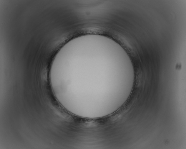 X0000089450310200707131932