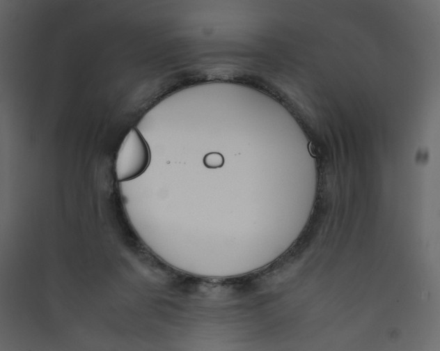 X0000089450311200707131932