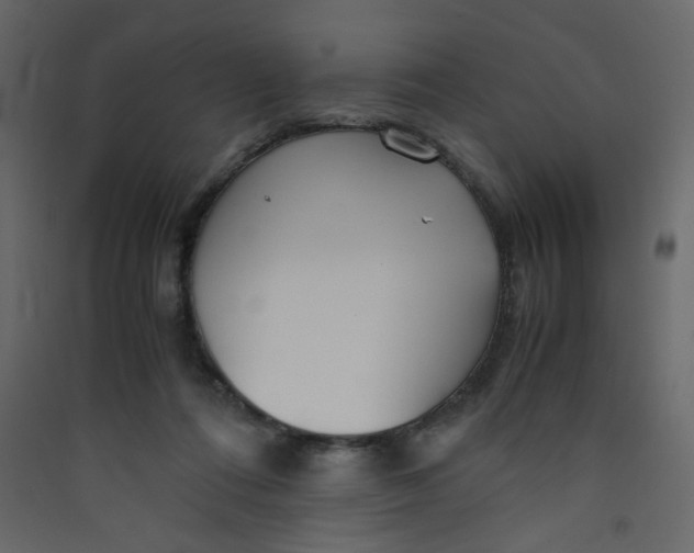 X0000089450312200707131932