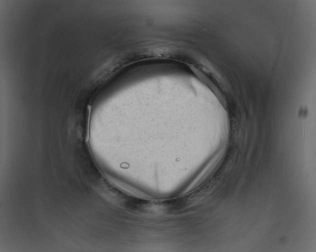 X0000089450313200707131932