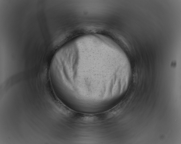 X0000089450314200707131932